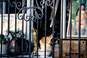 vergittertes Fenster mit Dicker-Dame-Foto