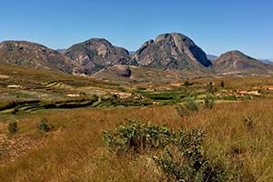 Reis-Terrassen in Madagaskar