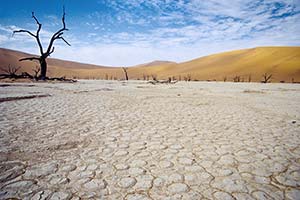 Tote Bäume im Deadvlei in der Namib