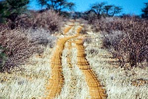 Sandweg in der Wildnis von Namibia