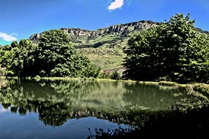 Düne in der Namib mit extremen Schatten