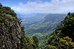 Deadvlei in der Namib mit toten Bäumen