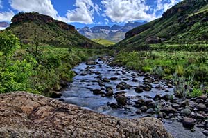 Tote Bäume im Deadvlei in der Namib