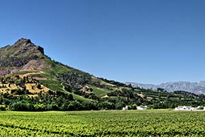 Menschen wandern auf Dünenrand in der Namib