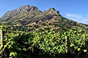 Versandete Türen in Kolmanskop