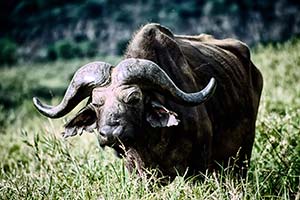Versandete Türen in Kolmanskop
