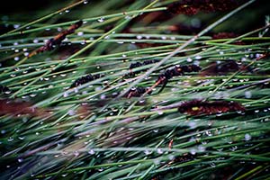 Alter eisener Ofen zwischen Steinfelsen