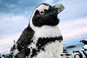 Alter verrosteter Lastwagen